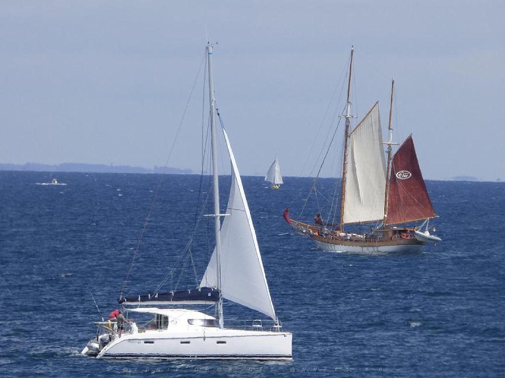 156 ILE DE HOEDIC_000055.jpg
